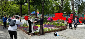 献礼2024首都市民花园节 | 笛东助力北京花园城市建设