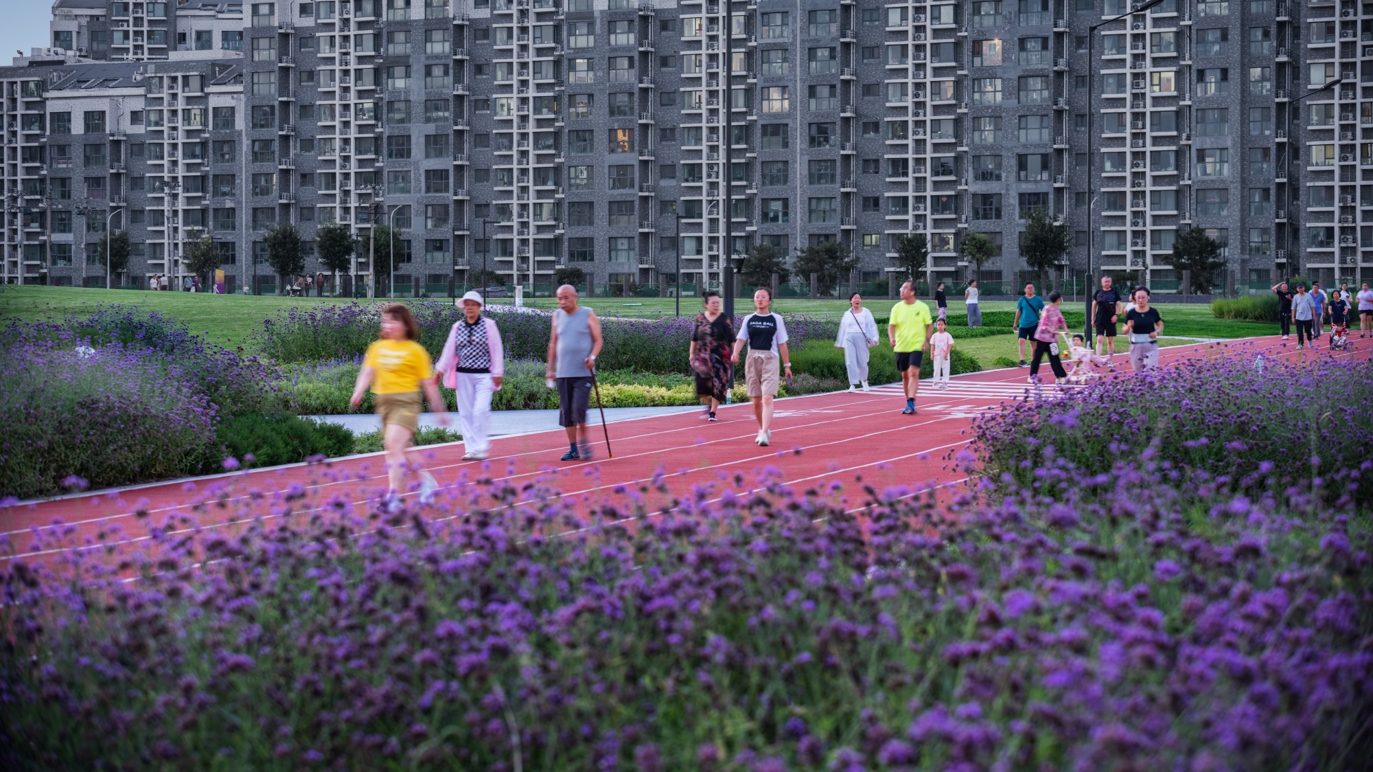 2024新澳门原料网大全新澳门宝典