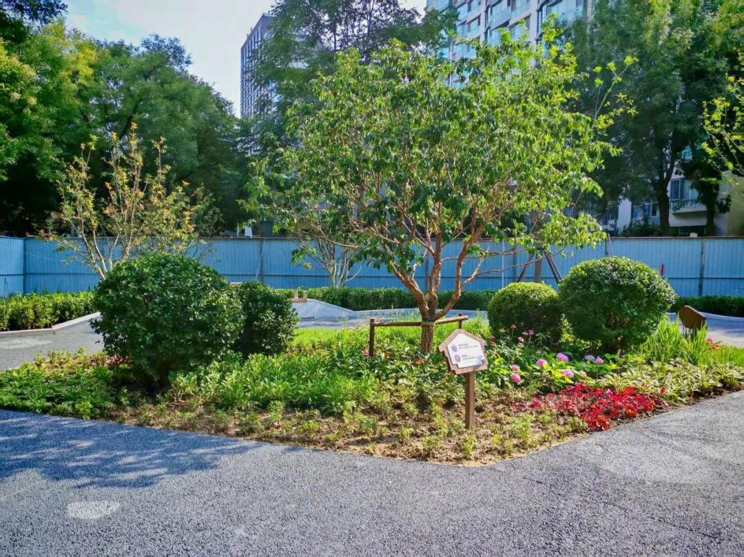 2024新澳门原料网大全新澳门宝典